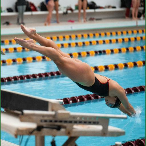 College swimmer diving.