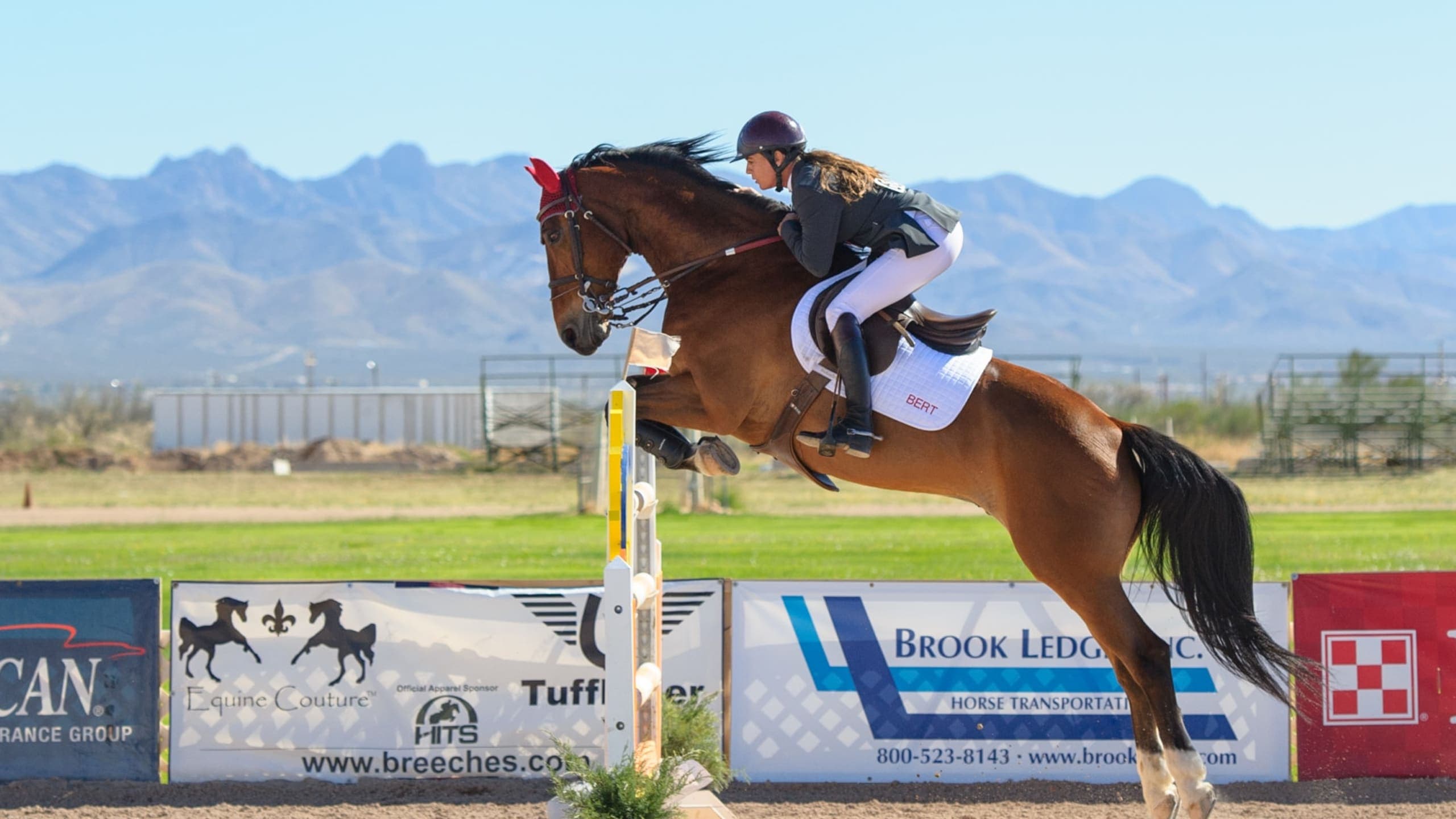 College Equestrian athlete in action — U.S. college sports recruiting with Smarthlete.